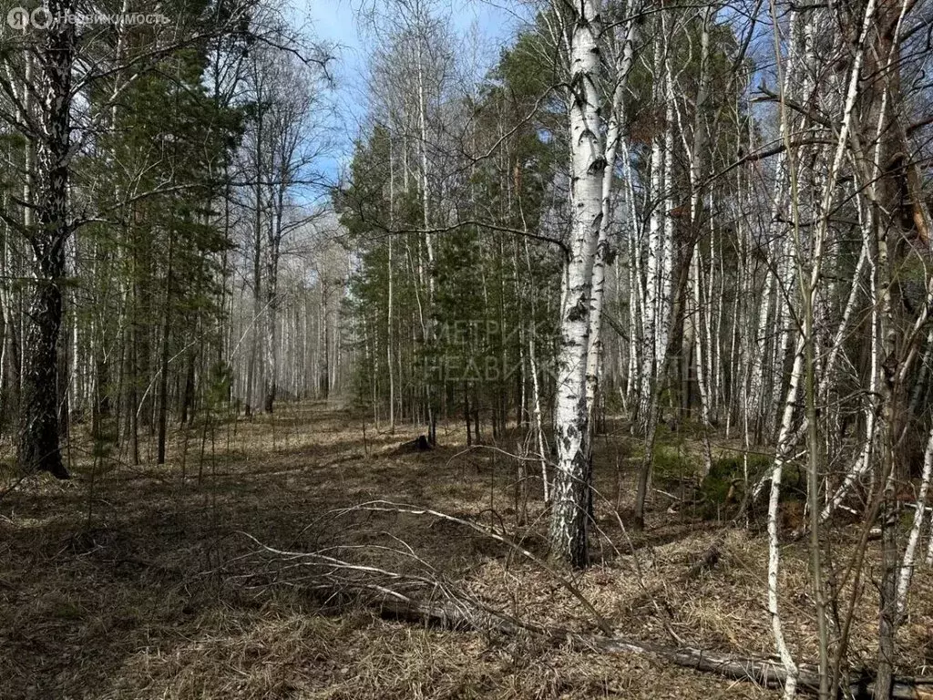 Участок в Нижнетавдинский район, деревня Московка, Кольцевой проспект ... - Фото 0
