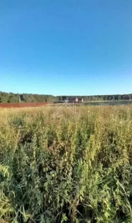 Участок в Ярославская область, Ярославский муниципальный округ, д. ... - Фото 2