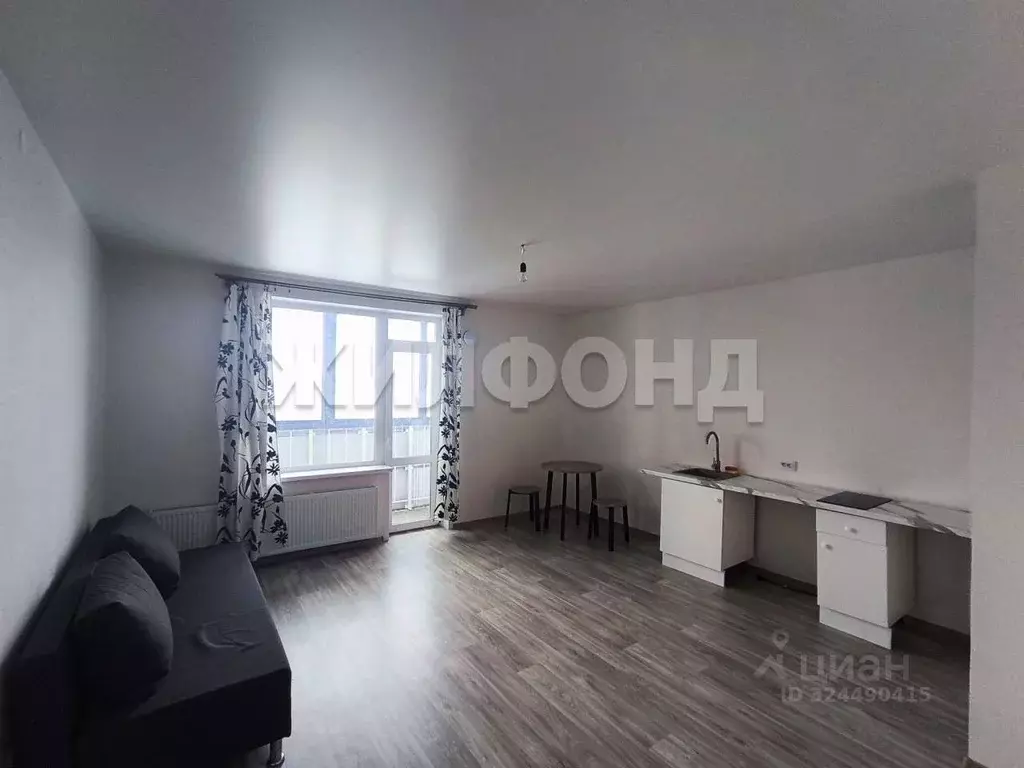 1-к кв. Новосибирская область, Новосибирск ул. Бородина, 54 (30.5 м) - Фото 1