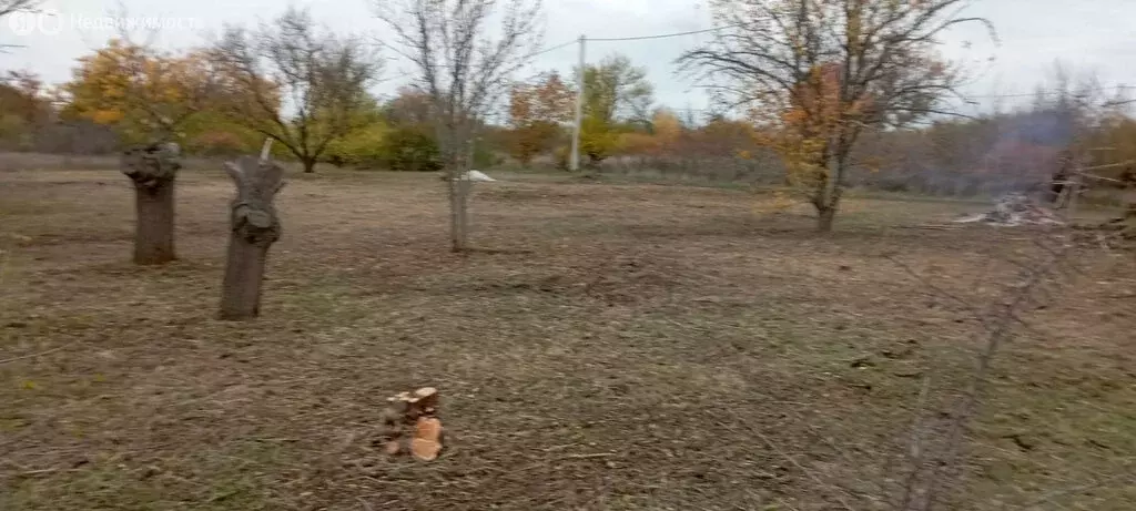 Участок в Краснодарский край, Ейск (5 м) - Фото 2