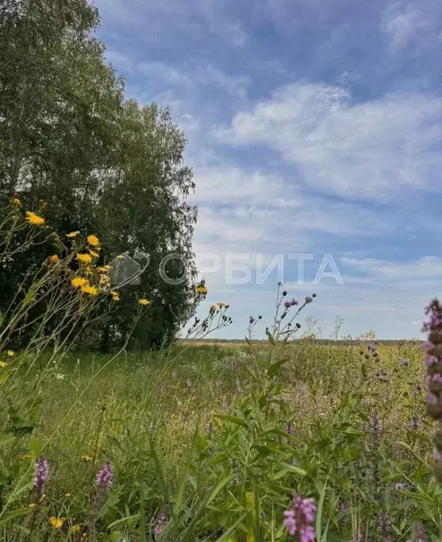 Участок в Тюменская область, Тюменский муниципальный округ, с. ... - Фото 2