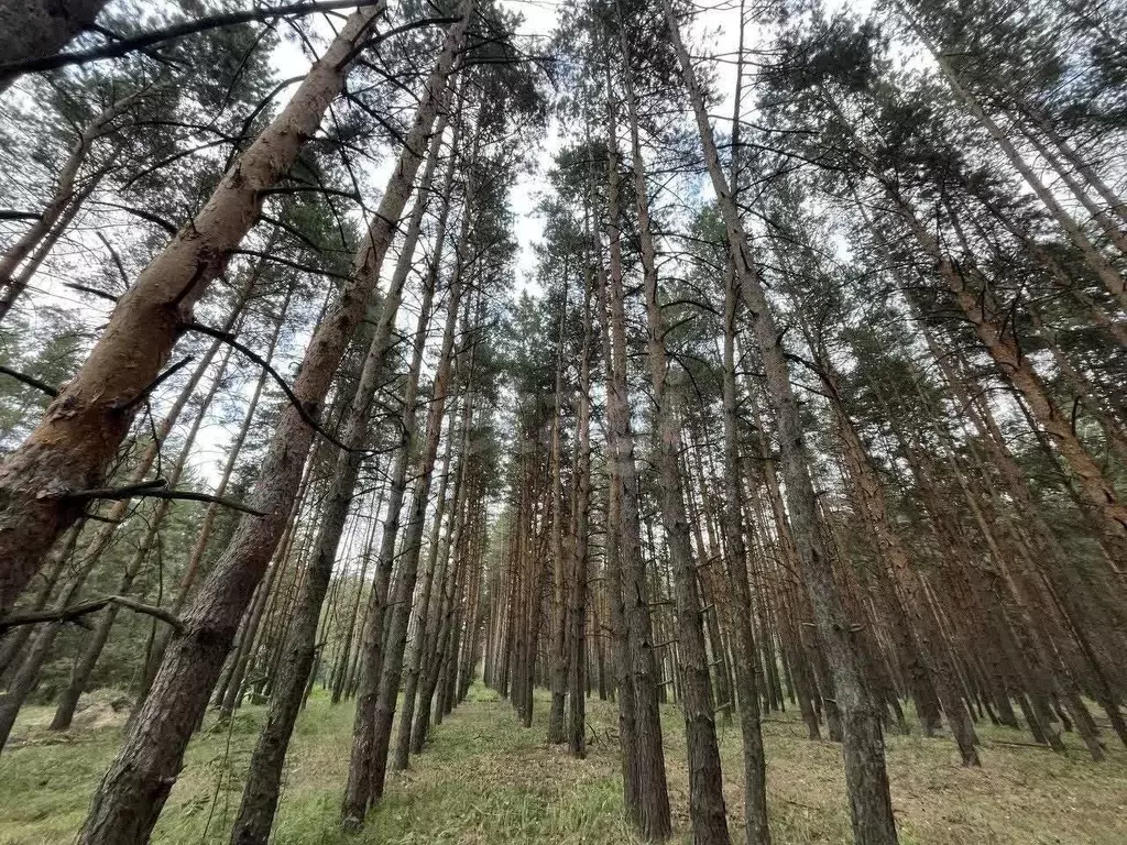 Участок в Воронежская область, Воронеж Малышево мкр,  (8.0 сот.) - Фото 0