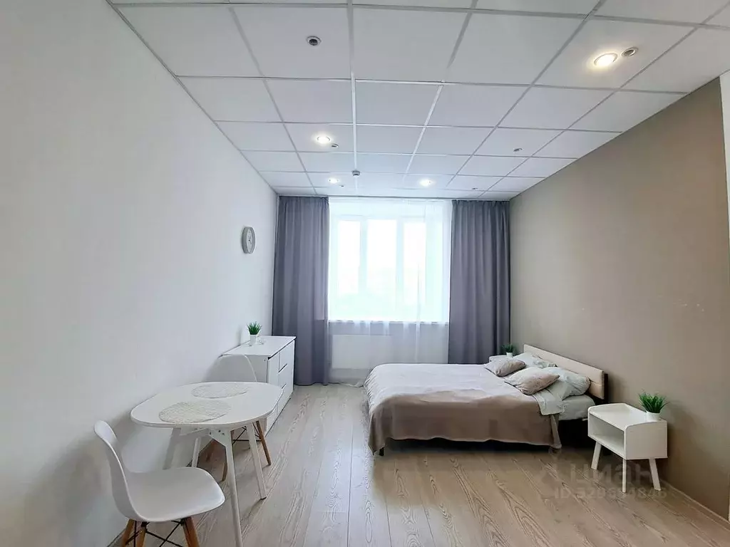 Студия Пермский край, Пермь ул. Куйбышева, 109А (25.5 м) - Фото 2