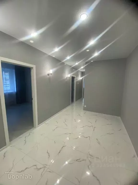 3-к кв. Владимирская область, Владимир Фестивальная ул., 2 (81.0 м) - Фото 2