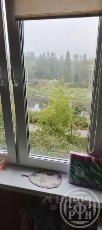 3-к кв. Ленинградская область, Луга ул. Красной Артиллерии, 34 (56.3 ... - Фото 2