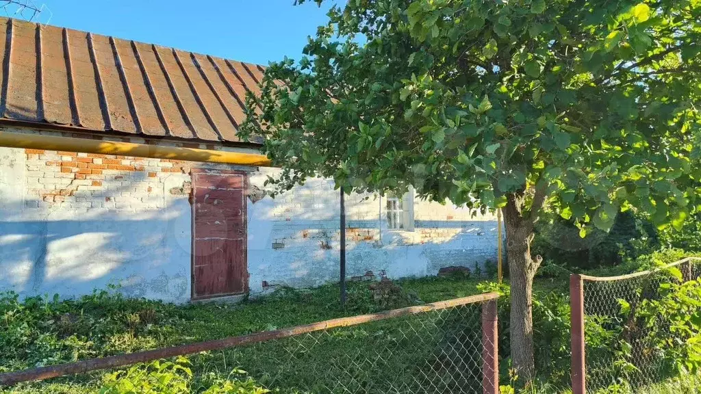 Дом 49,3 м на участке 1,08 га - Фото 1