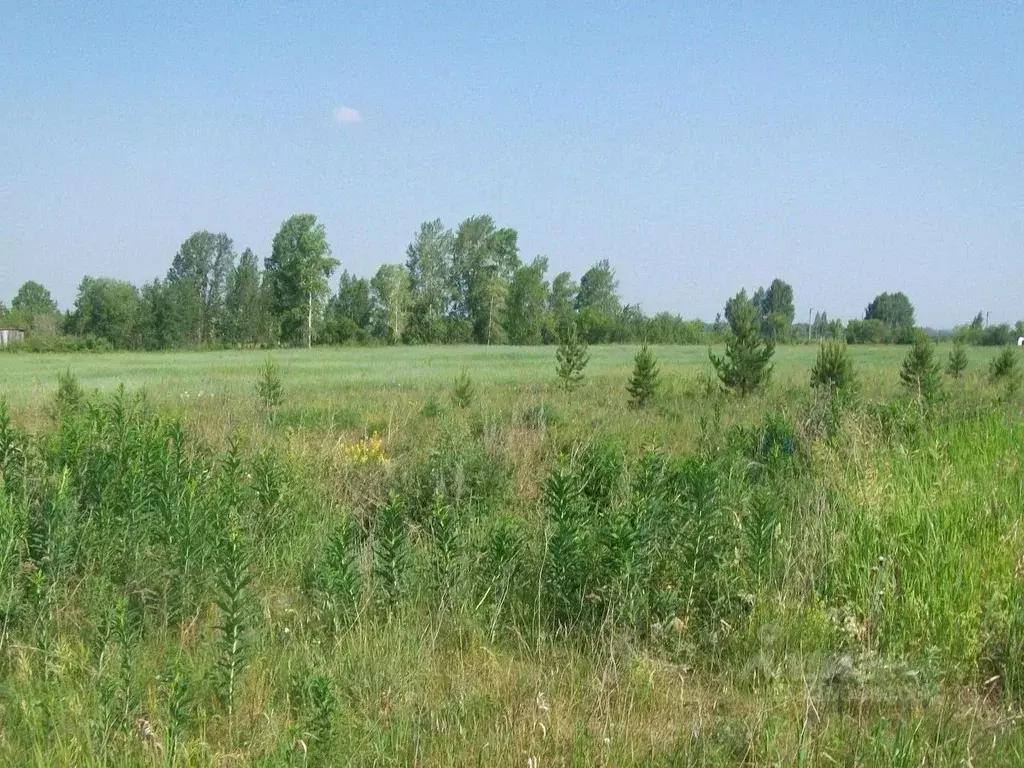 Участок в Московская область, Можайский муниципальный округ, Можайское ... - Фото 1