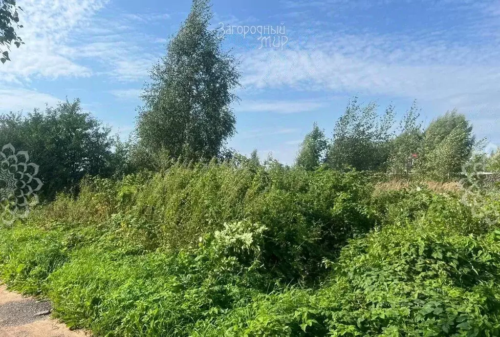 Участок в Московская область, Дмитровский муниципальный округ, д. ... - Фото 1