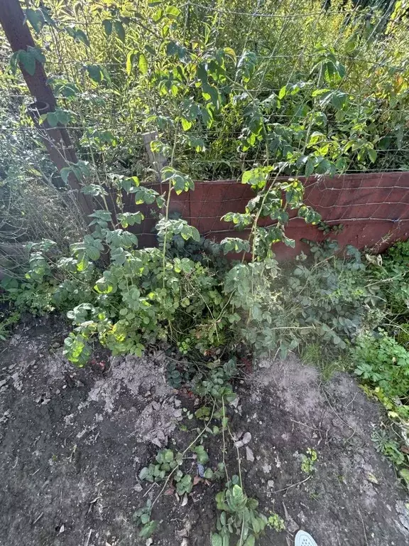 Дом в Татарстан, Зеленодольск Гари-2 садоводческое товарищество,  (30 ... - Фото 2