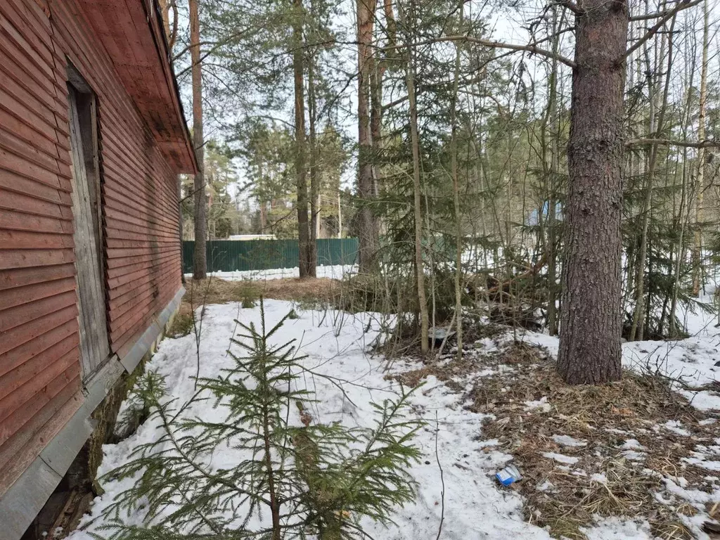 Участок в Ленинградская область, Лодейнопольский район, Доможировское ... - Фото 1