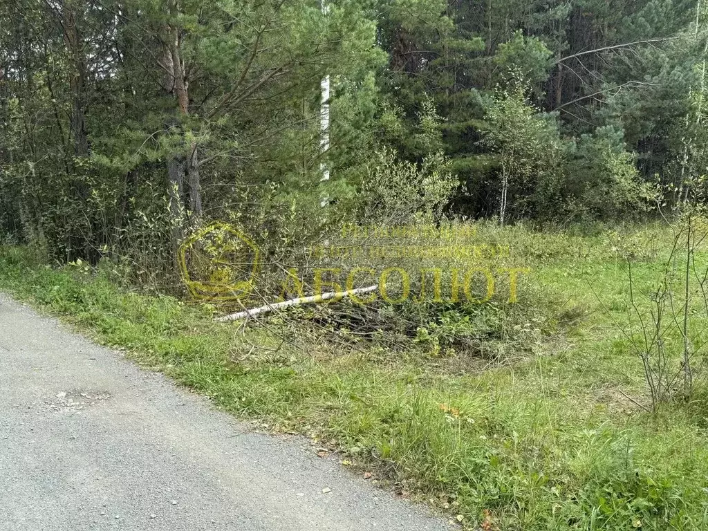 Участок в Свердловская область, Ревда  (10.08 сот.) - Фото 2