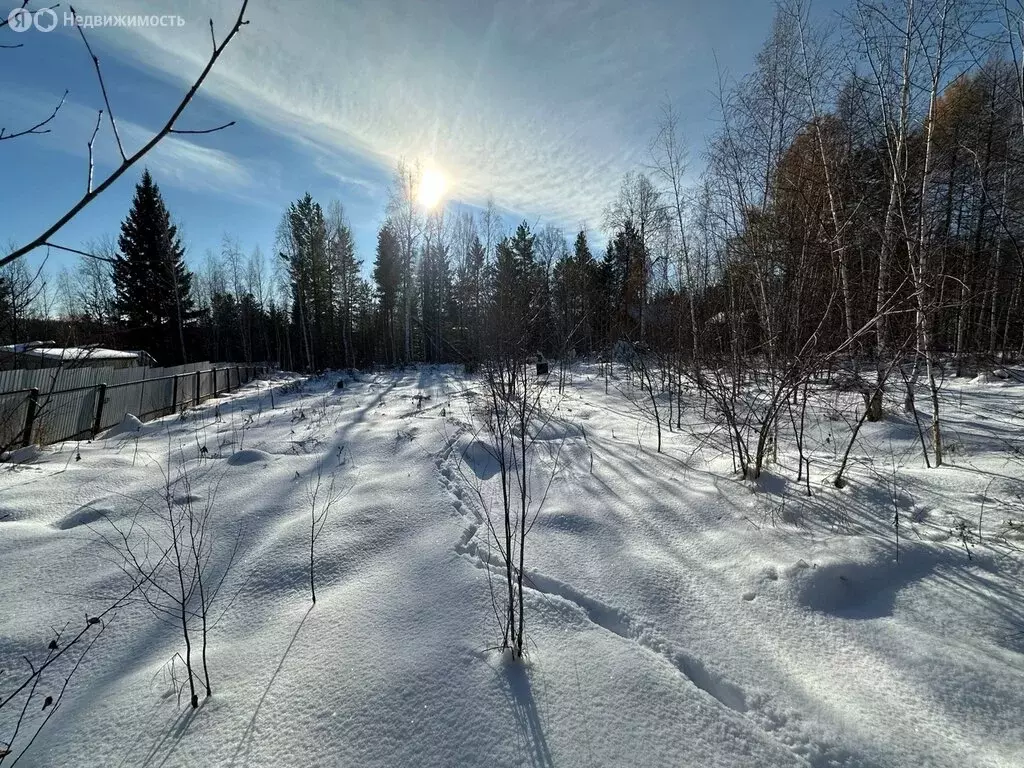 Участок в Иркутский муниципальный округ, СНТ Искра, Цветочная улица, ... - Фото 1