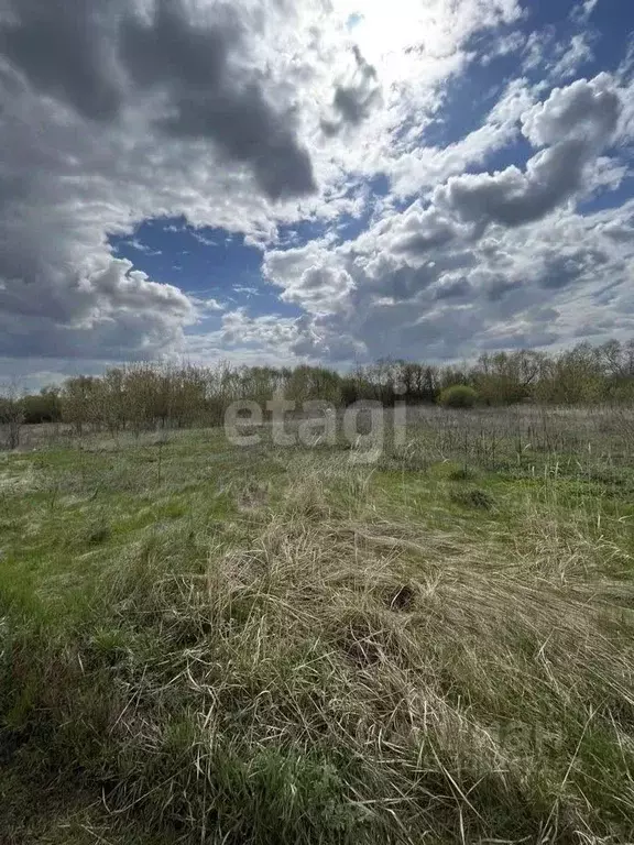 Участок в Воронежская область, Новоусманский район, с. Бабяково  (23.0 ... - Фото 0