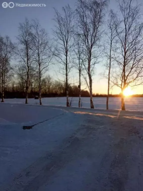 Участок в Павловск, коттеджный посёлок Негород Павловск (8 м) - Фото 0