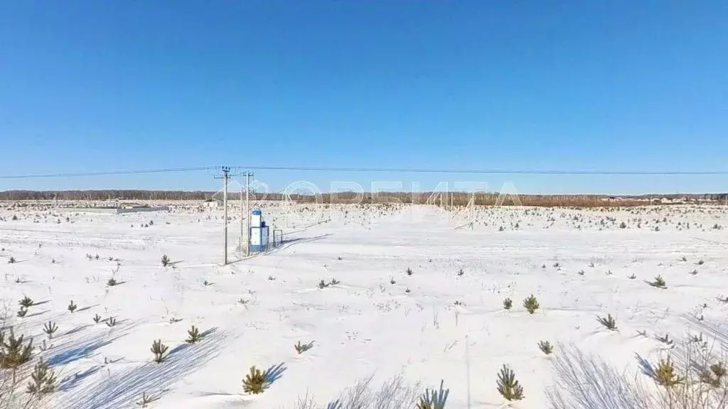 Участок в Тюменская область, Тюменский муниципальный округ, с. Кулига, ... - Фото 1