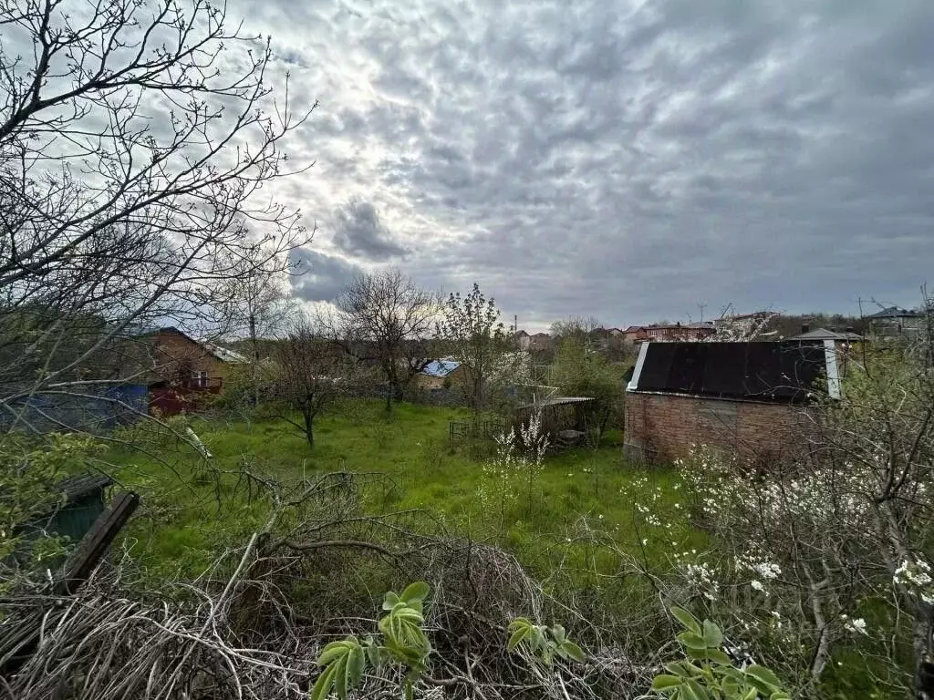 Участок в Ростовская область, Ростов-на-Дону Садовод-Любитель садовое ... - Фото 2