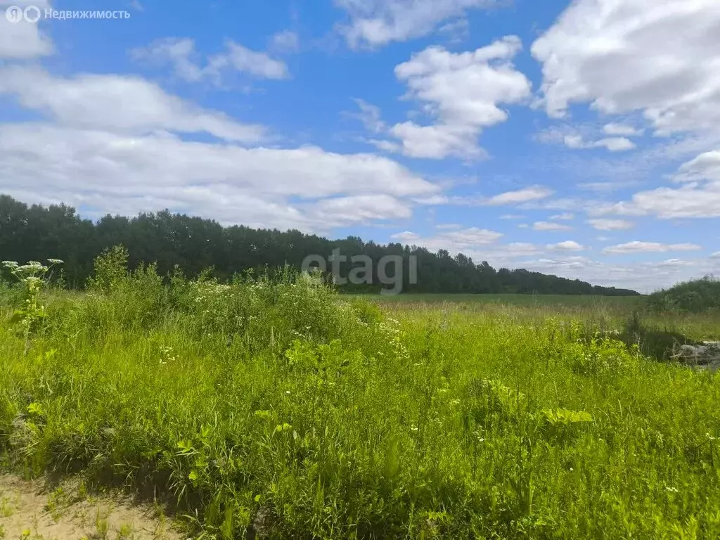 Участок в село Ковардицы, улица 75 лет Победы (7.6 м) - Фото 1