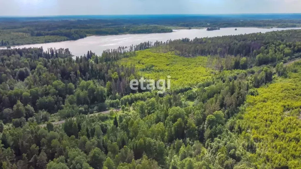 Участок в Ленинградская область, Приозерский район, Севастьяновское ... - Фото 1