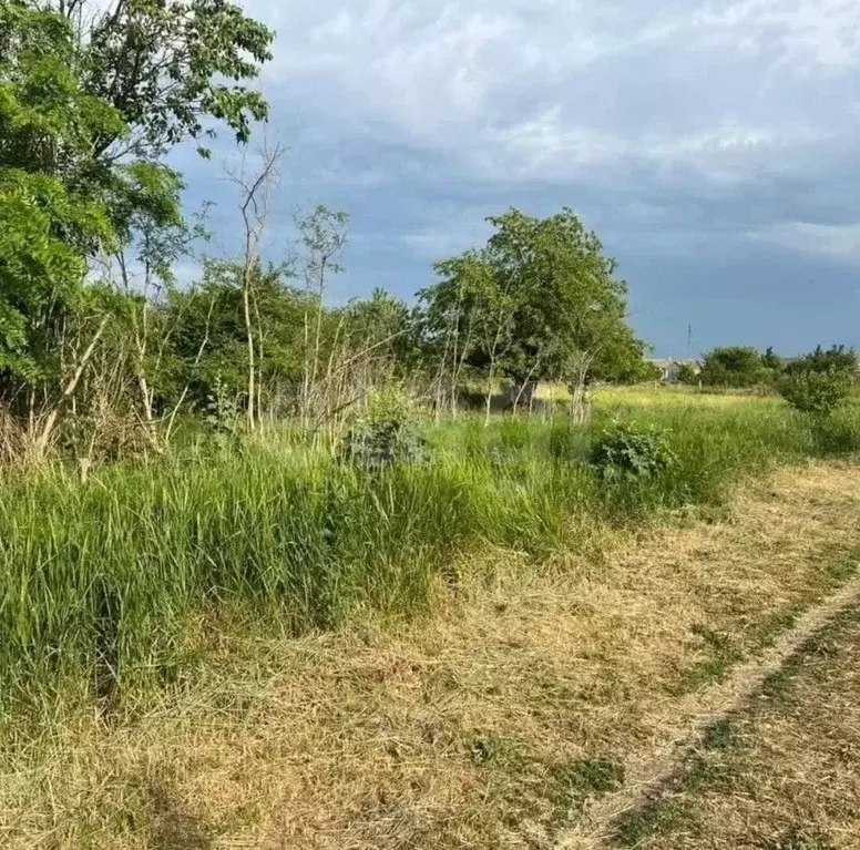 Участок в Ростовская область, Багаевский район, Манычская ст-ца ул. ... - Фото 2