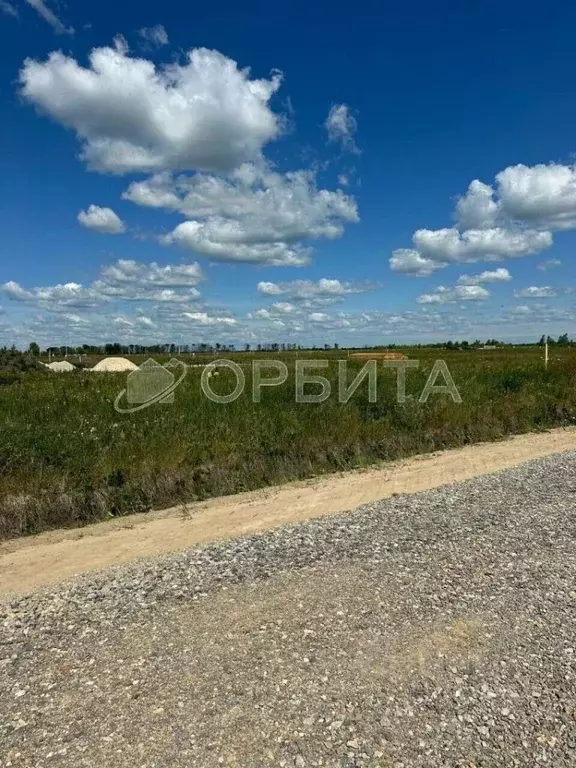 Участок в Тюменская область, Тюменский район, с. Чикча, Вишня кп ул. ... - Фото 1