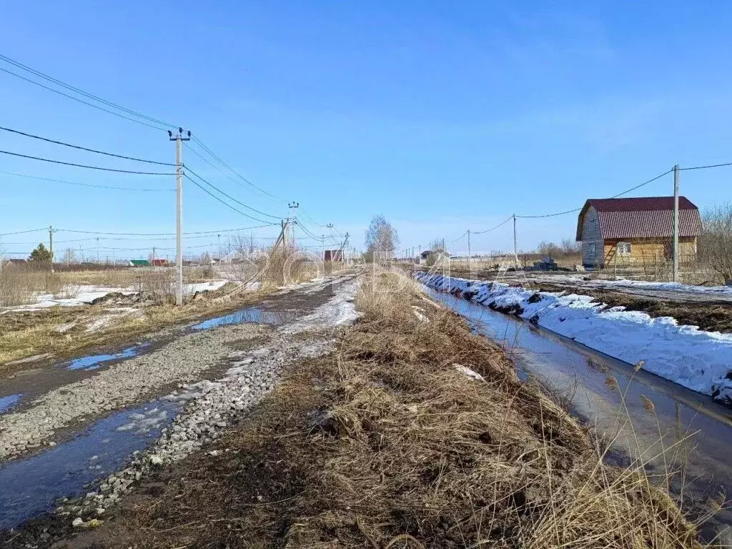 Участок в Тюменская область, Тюмень Большое Царево-1 СНТ,  (9.95 сот.) - Фото 2