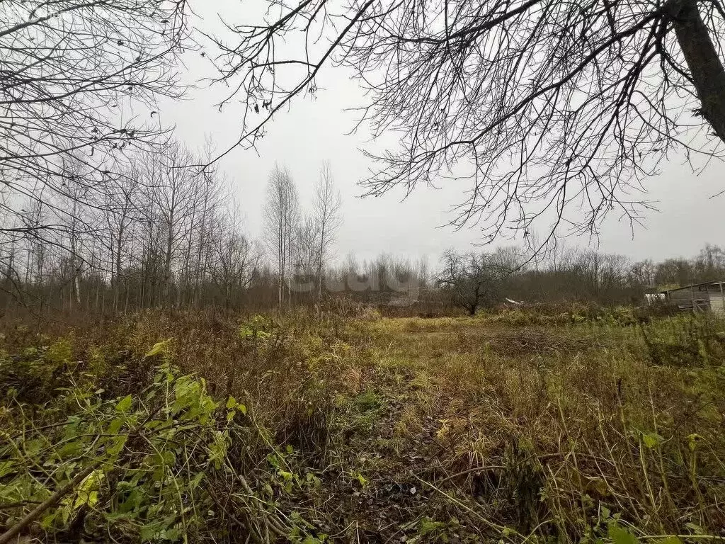 Участок в Тверская область, Конаковский муниципальный округ, посёлок ... - Фото 2