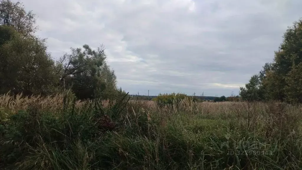 Участок в Московская область, Можайский муниципальный округ, д. Холм  ... - Фото 2