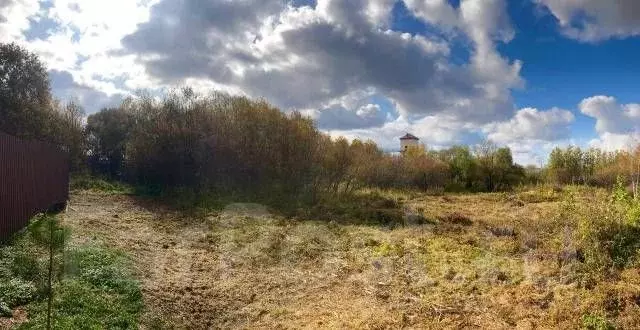 Участок в Хабаровский край, Хабаровский район, с. Некрасовка ул. ... - Фото 1