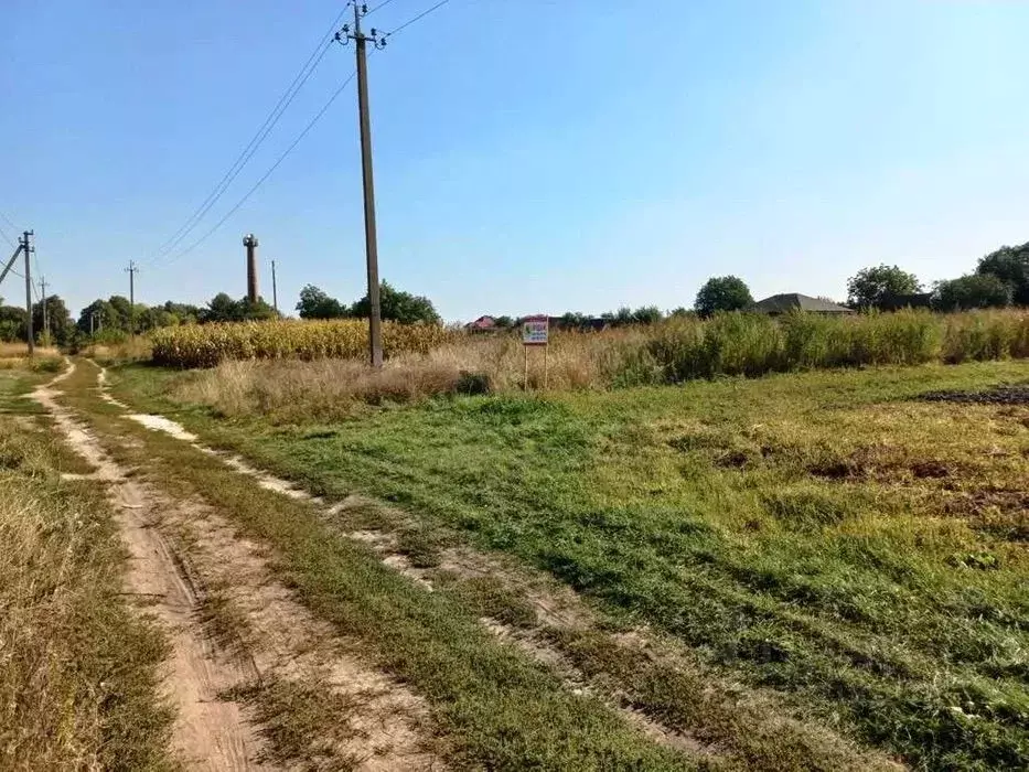 Участок в Московская область, Клин городской округ, д. Ситники ул. ... - Фото 0
