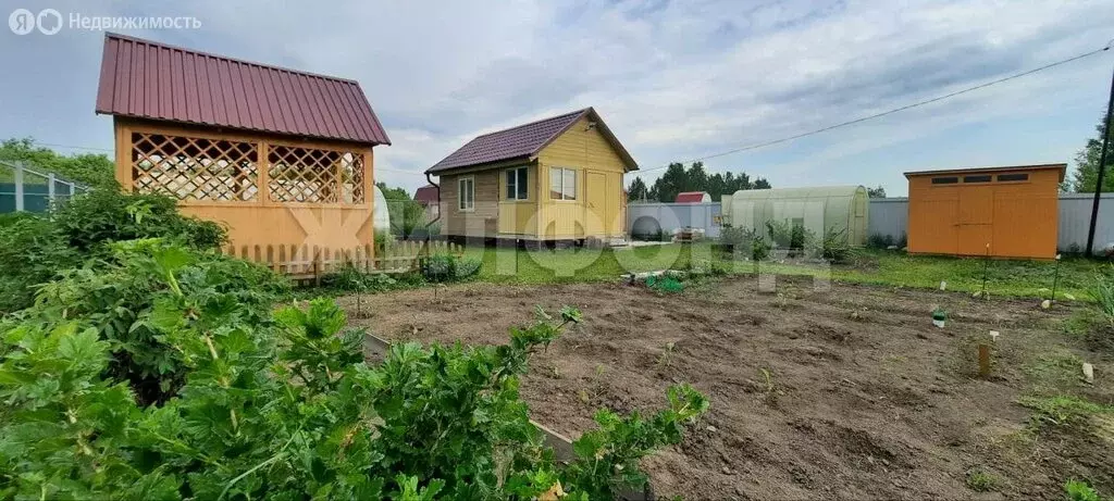 Дом в Новосибирская область, Коченёвский муниципальный район, СНТ ... - Фото 0