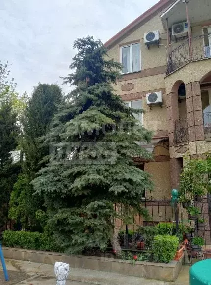 Студия Крым, Симферопольский район, Николаевка пгт ул. Чудесная, 8 ... - Фото 1