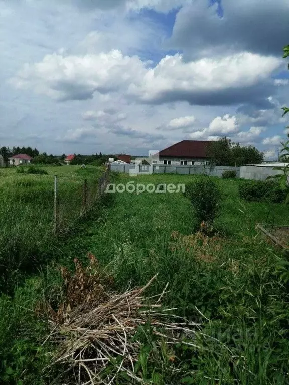 Участок в Свердловская область, Белоярский муниципальный округ, с. ... - Фото 2