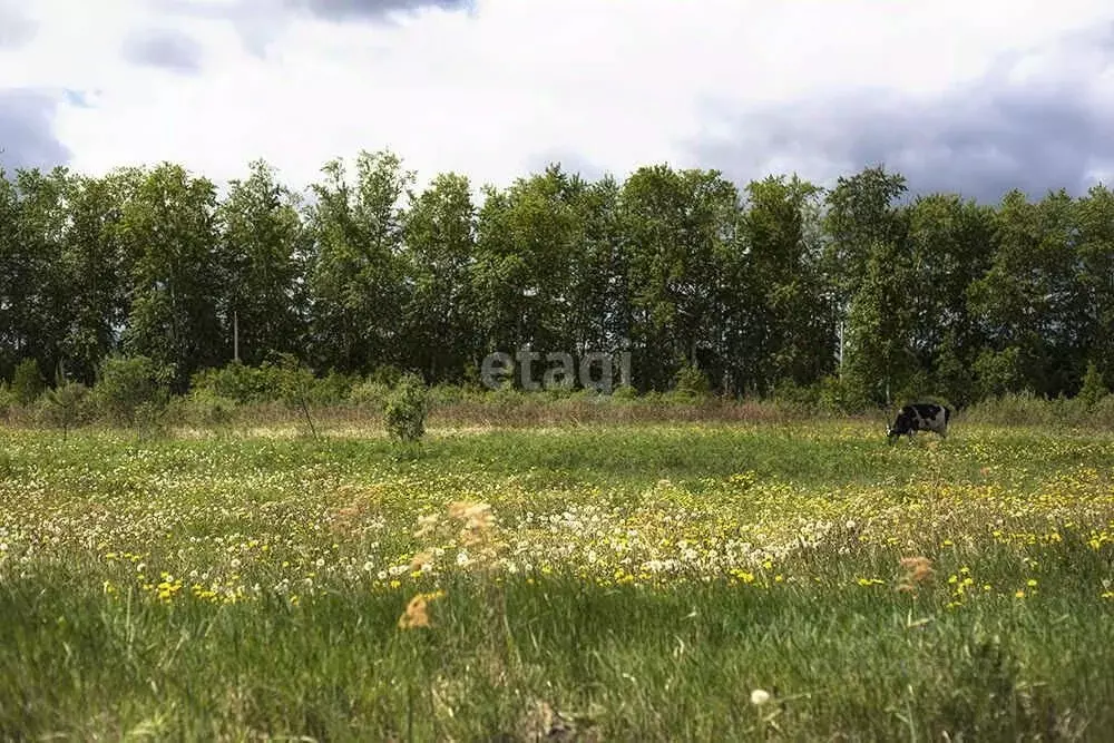 Участок в Тюменская область, Тюменский район, д. Якуши  (8.0 сот.) - Фото 0