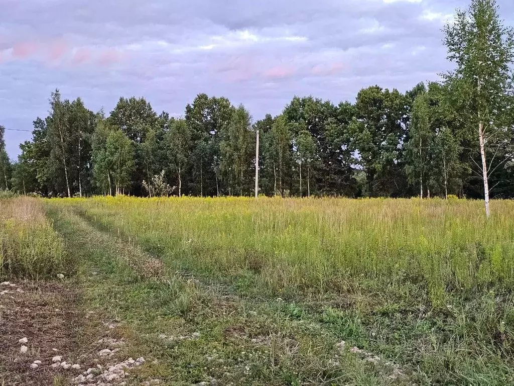 Участок в Тульская область, Веневский муниципальный округ, д. Барсуки  ... - Фото 1