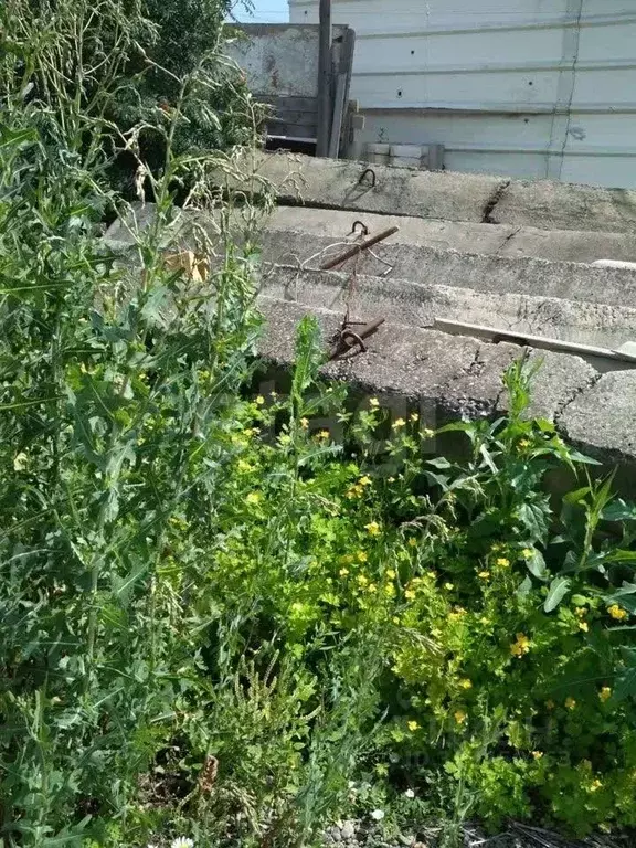 Участок в Алтайский край, Барнаул Аграрный проезд, 40 (5.0 сот.) - Фото 2