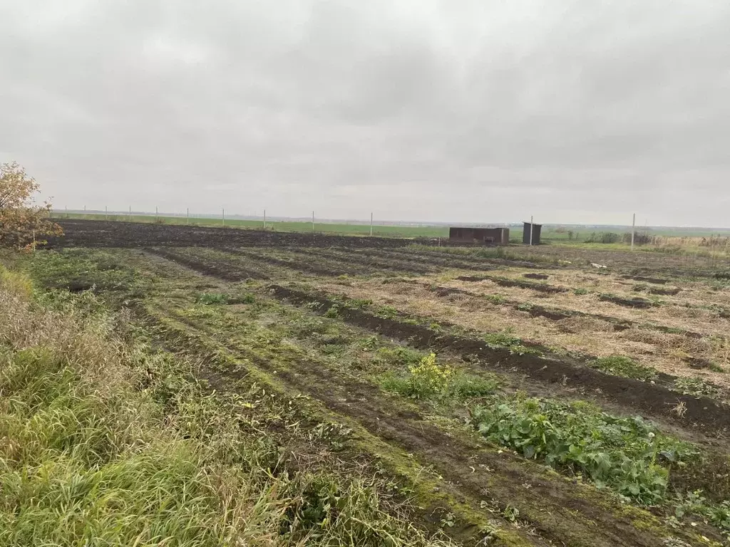 Участок в Московская область, Луховицы муниципальный округ, д. ... - Фото 2