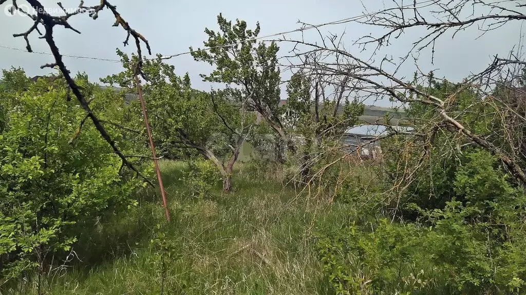 Участок в Ставрополь, СТ Железнодорожник (5.4 м) - Фото 1