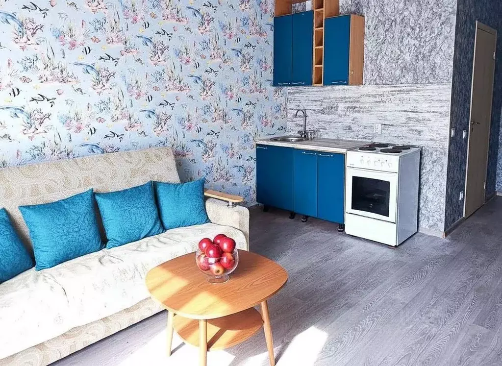 Студия Санкт-Петербург пос. Шушары, Ленсоветовский тер., 23 (32.3 м) - Фото 1