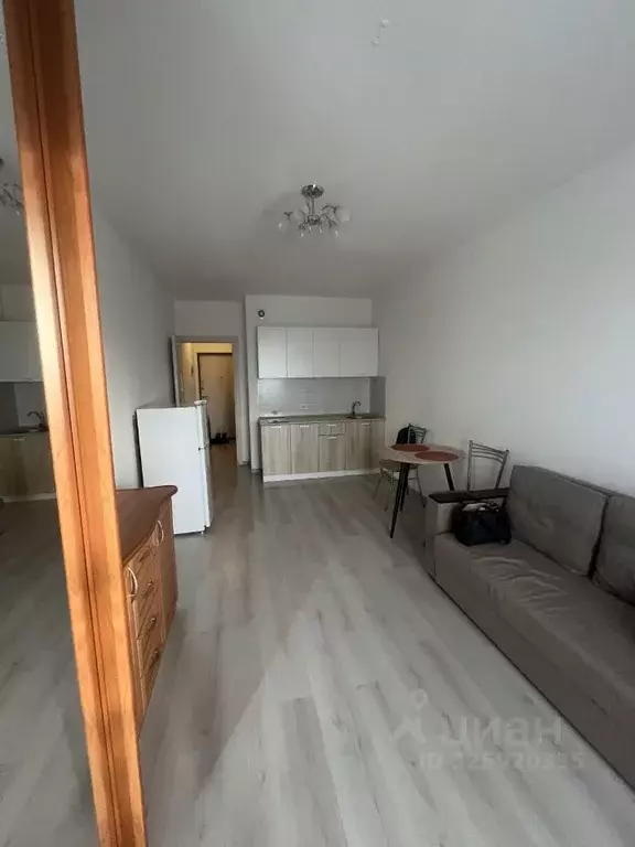 Студия Санкт-Петербург просп. Ветеранов, 173к1 (24.6 м) - Фото 1