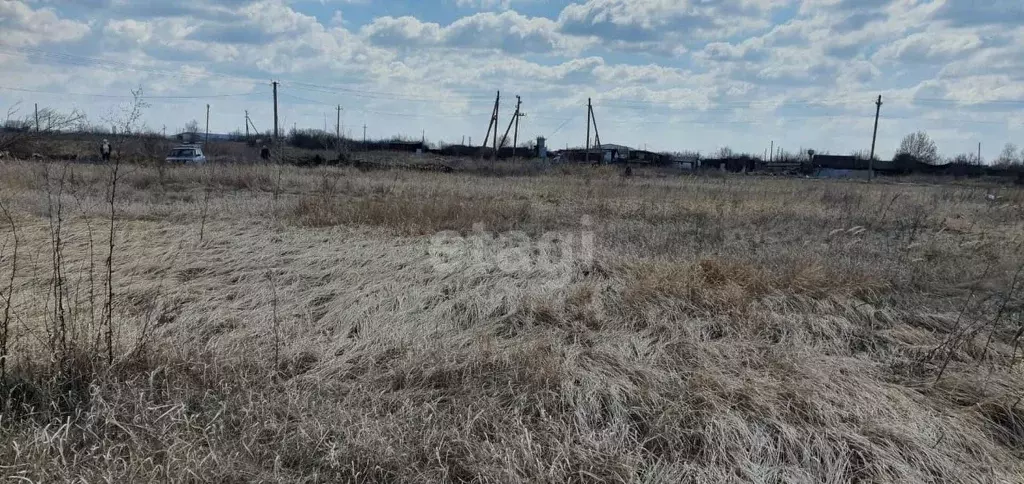 Погода в воронежском совхозе