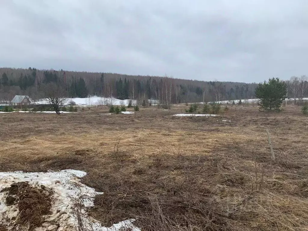 Участок в Владимирская область, Александровский район, Новые Корелы кп ... - Фото 0