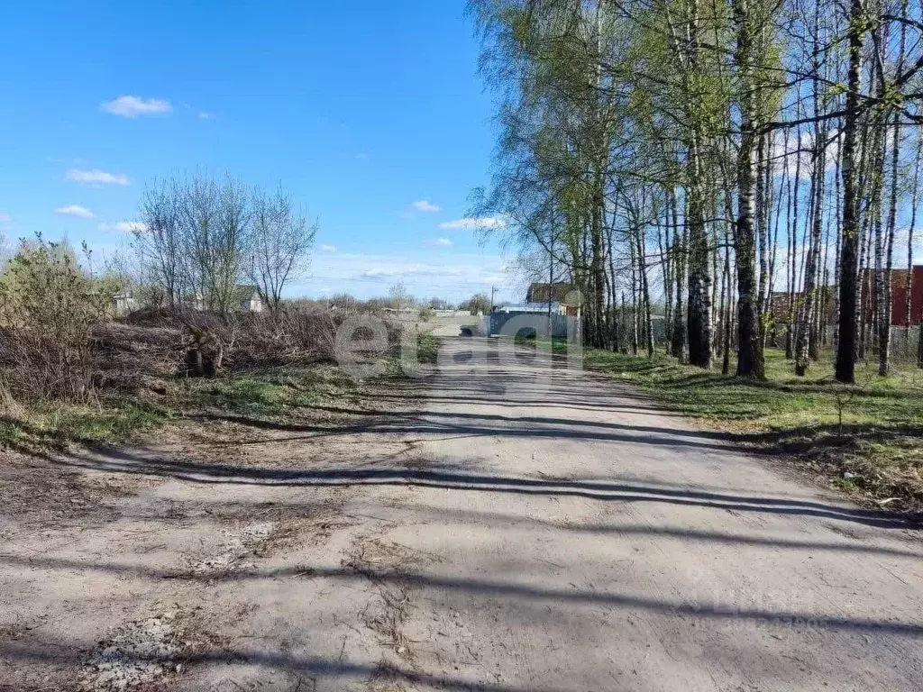 Участок в Брянская область, Стародуб Заря садоводческое товарищество,  ... - Фото 0