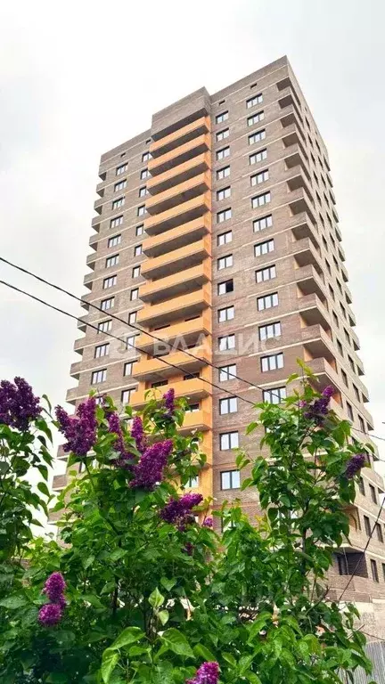 2-к кв. Калужская область, Калуга ул. Болдина, 12 (61.8 м) - Фото 1