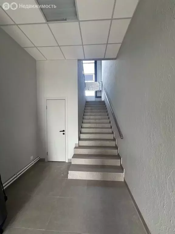 Помещение свободного назначения (550 м) - Фото 0