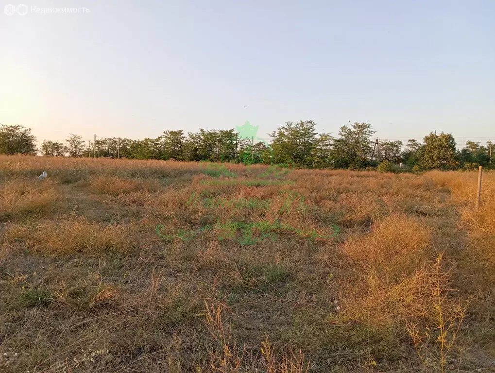 Участок в село Экономическое, Железнодорожная улица (10 м) - Фото 2