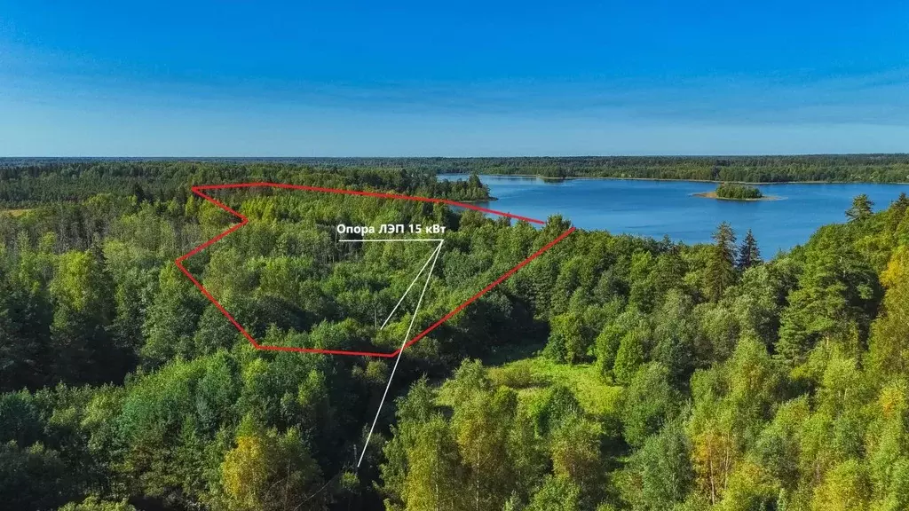 Участок в Тверская область, Вышневолоцкий муниципальный округ, д. Ухаб ... - Фото 2