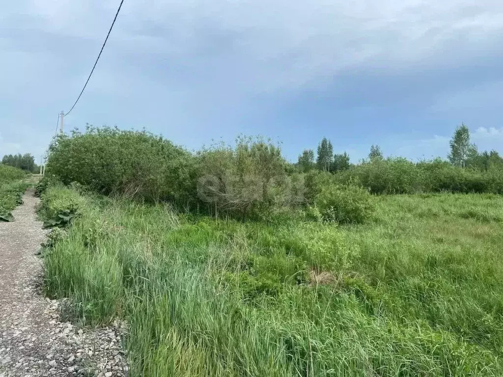 Участок в Тюменская область, Нижнетавдинский район, пос. Торгили  ... - Фото 0