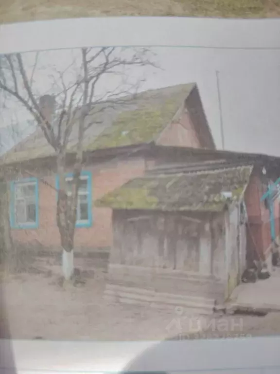 Помещение свободного назначения в Брянская область, Клинцовский район, ... - Фото 2
