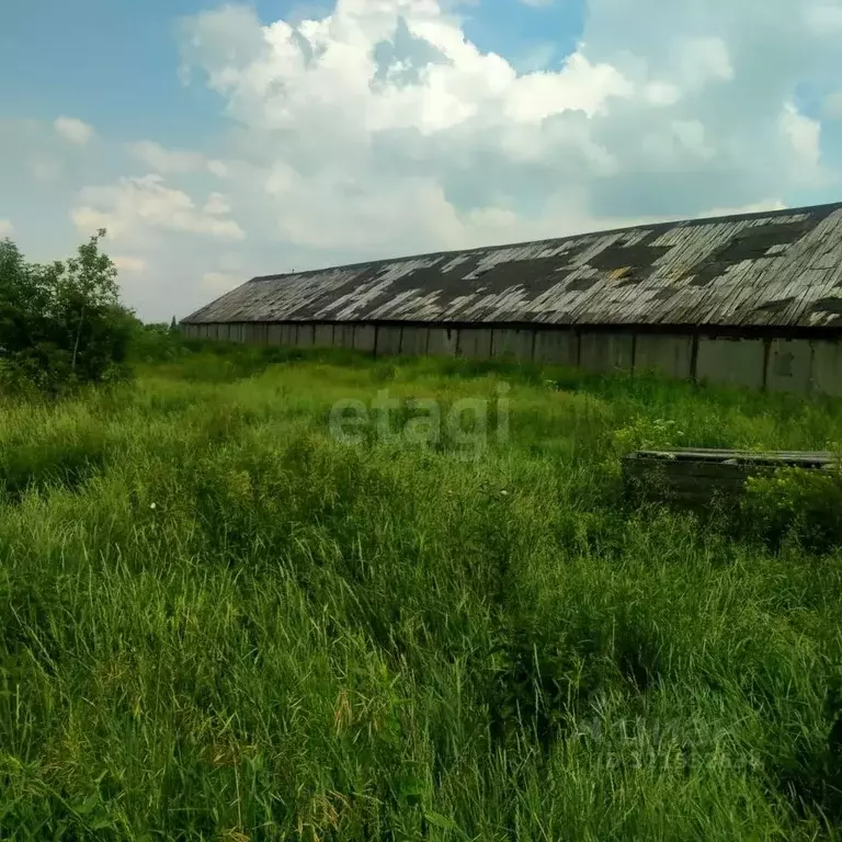 Склад в Новосибирская область, Новосибирский район, с. Толмачево ... - Фото 1