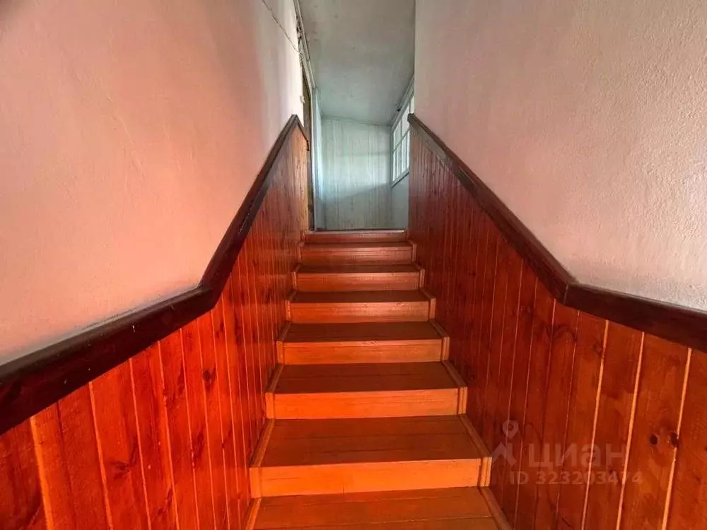 Дом в Амурская область, Белогорск Тенистая ул., 3 (66 м) - Фото 2